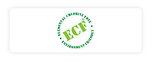 Logo of ECF