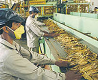image of ITC's Green Leaf Processing Plants image of ITC's Green Leaf Processing Plants