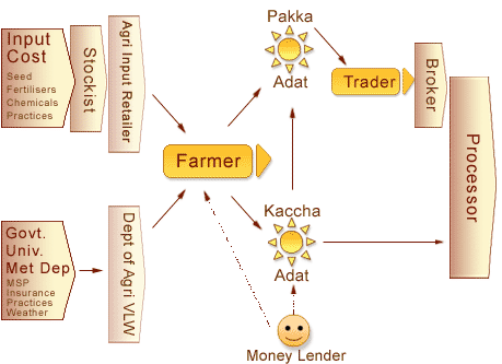 Visual Representation of The Value Chain - Farm to Factory Gate