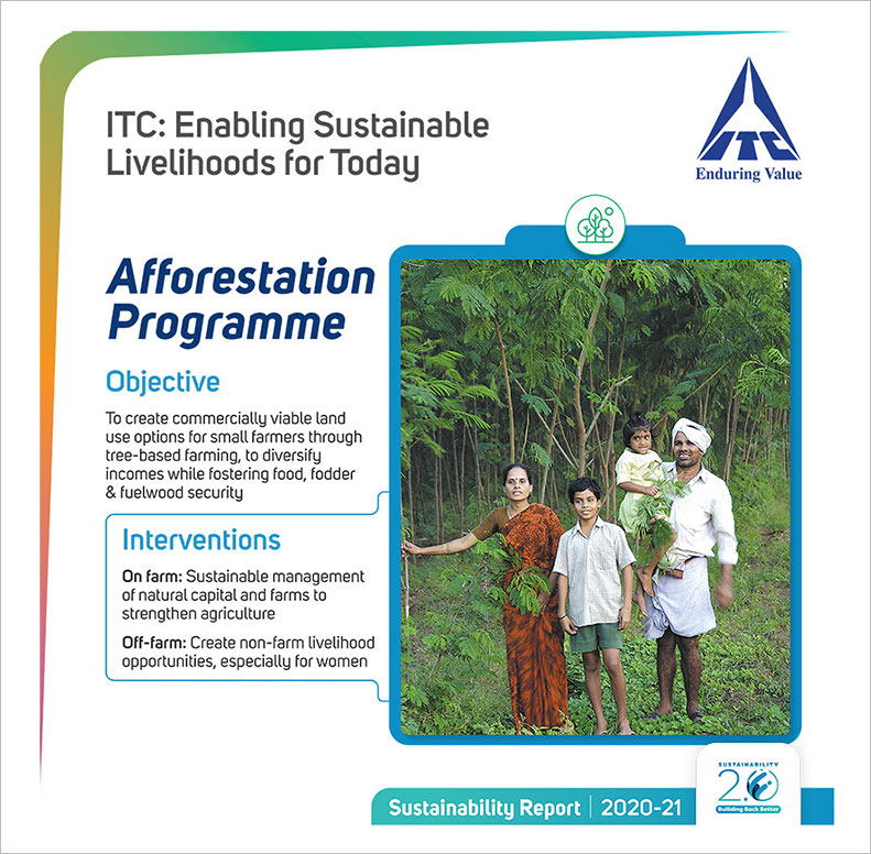 afforestation programme