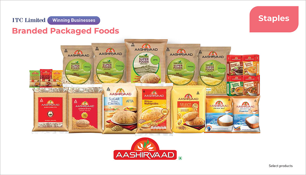 packaged indian food brands
