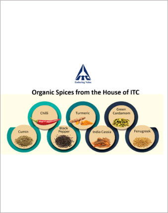 ITC spices products