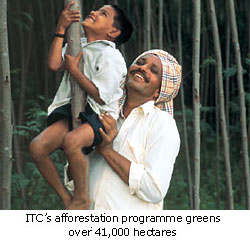ITC Afforestation Program