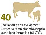 40 Additional Cattle Development Centres were established during the year, taking the total to 161 CDCs 40 Additional Cattle Development Centres were established during the year, taking the total to 161 CDCs