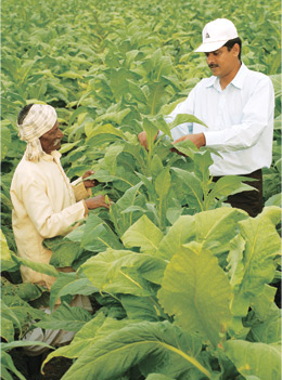 Sustainability Challenges - Impact on Livelihoods of Farmers