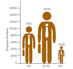 Visual Representation of Age-Wise Employee Break up