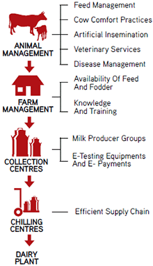 Visual Representation of Integrated Dairy Management Programme