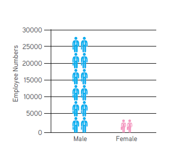 Visual Representation of Gender-Wise Employee Break up